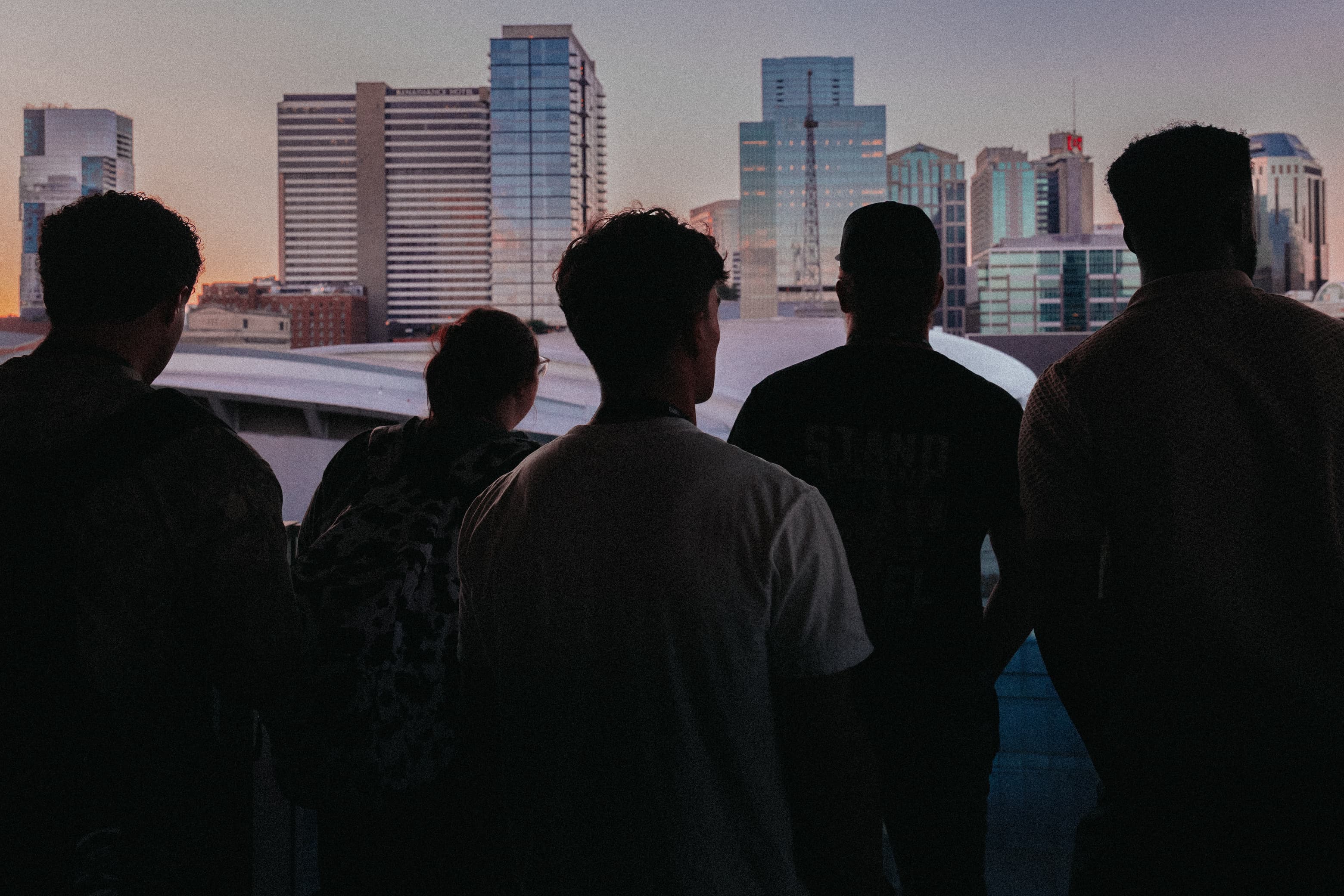 Choose Your Next Steps